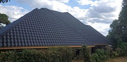 Orientile roof